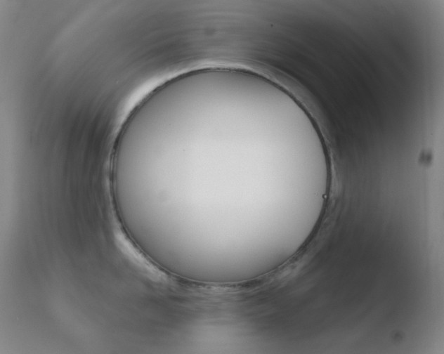 X0000110720958200906121243