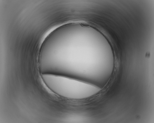 X0000110720959200906121243