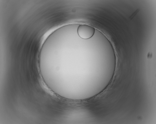 X0000110720960200906121243