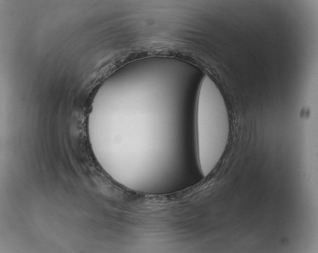 X0000110720964200906121243