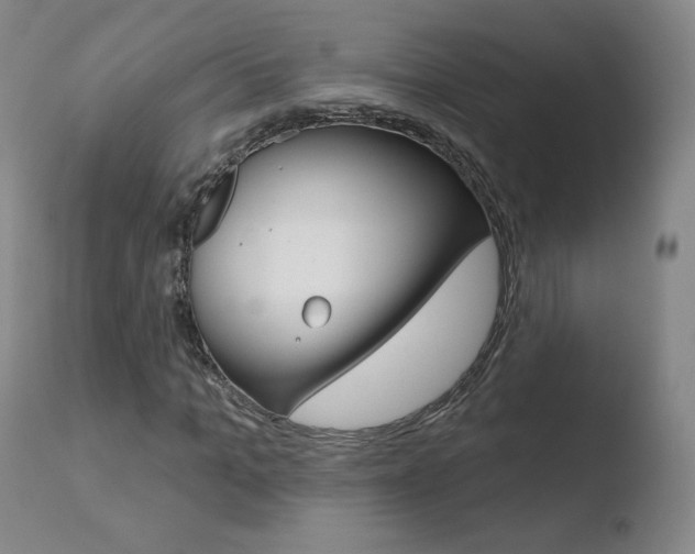 X0000110720965200906121243