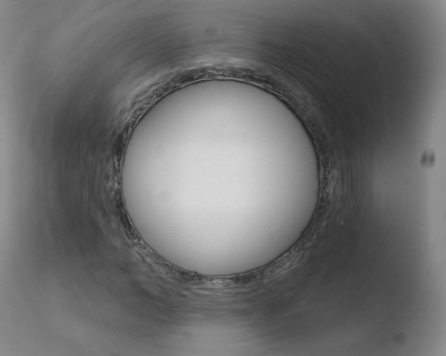 X0000110720966200906121243