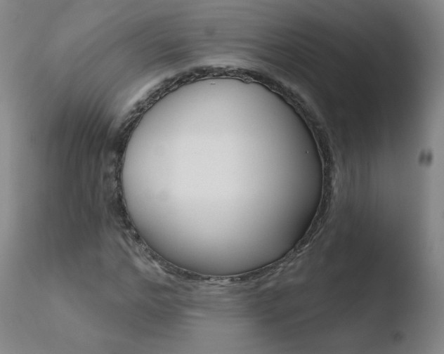X0000110720968200906121242