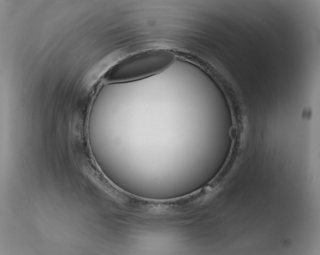 X0000110720969200906121242