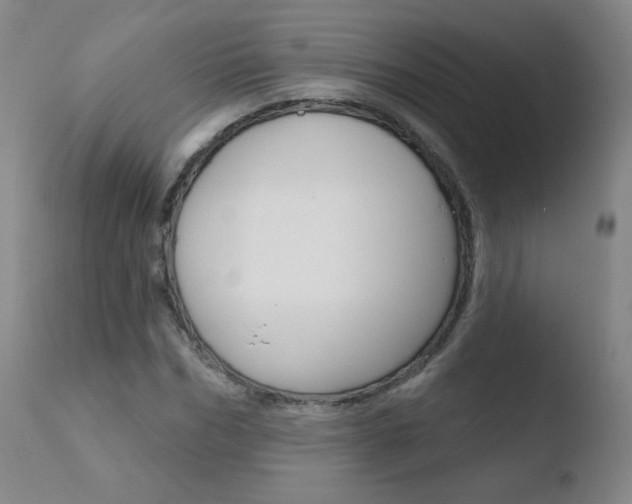 X0000110720970200906121242