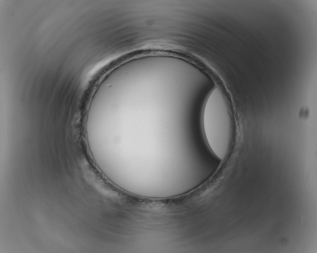 X0000110720971200906121242