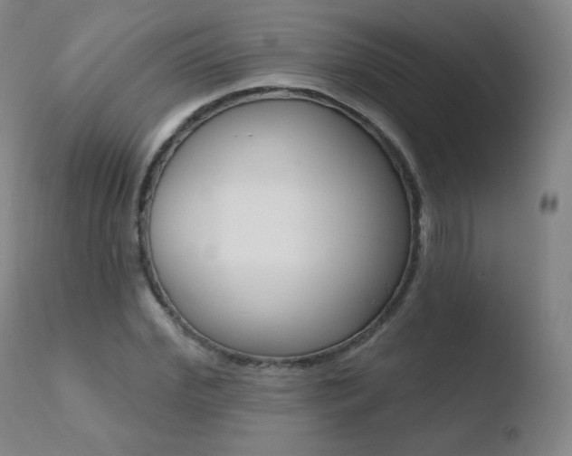X0000110720972200906121242