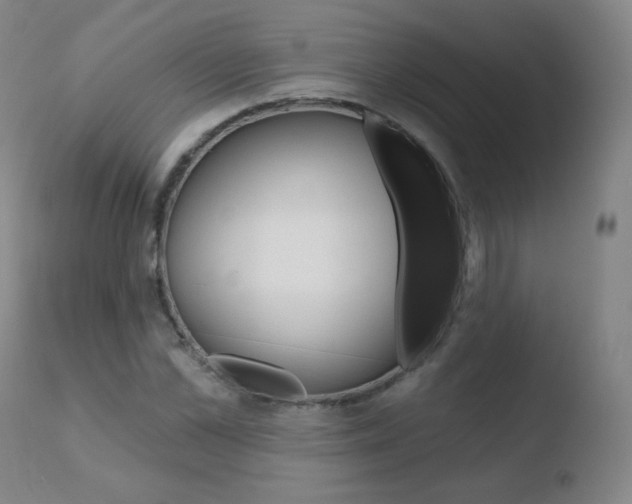 X0000110720973200906121242