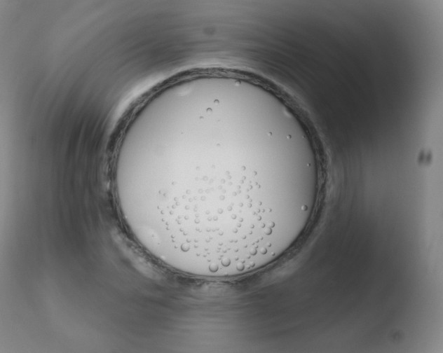 X0000110720974200906121242