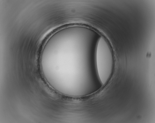 X0000110720975200906121242