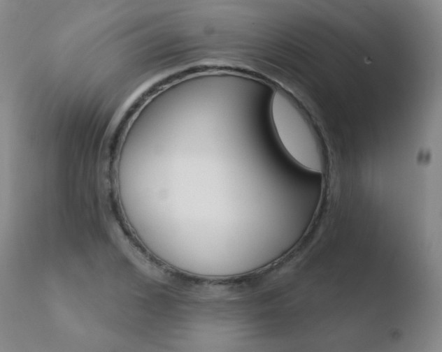 X0000110720976200906121242