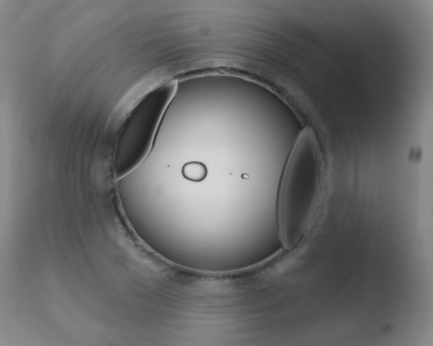 X0000110720977200906121242