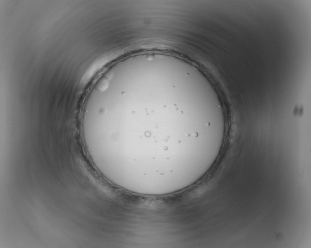 X0000110720978200906121242