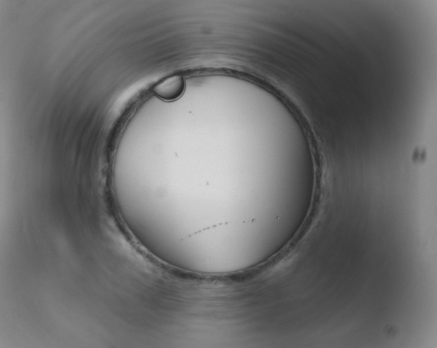 X0000110720979200906121242