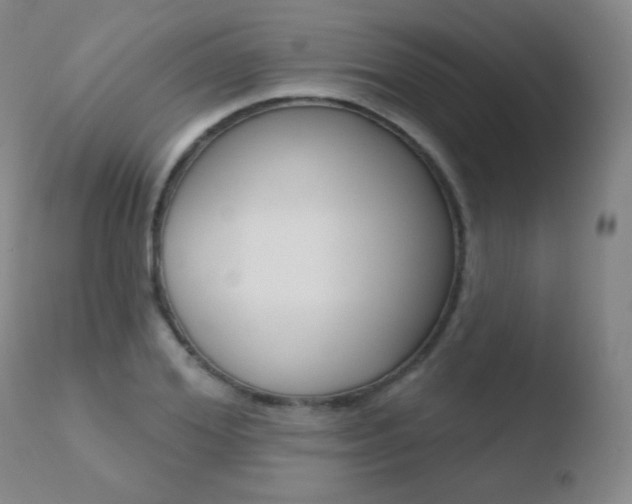 X0000110720980200906121242