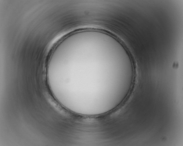 X0000110720982200906121242