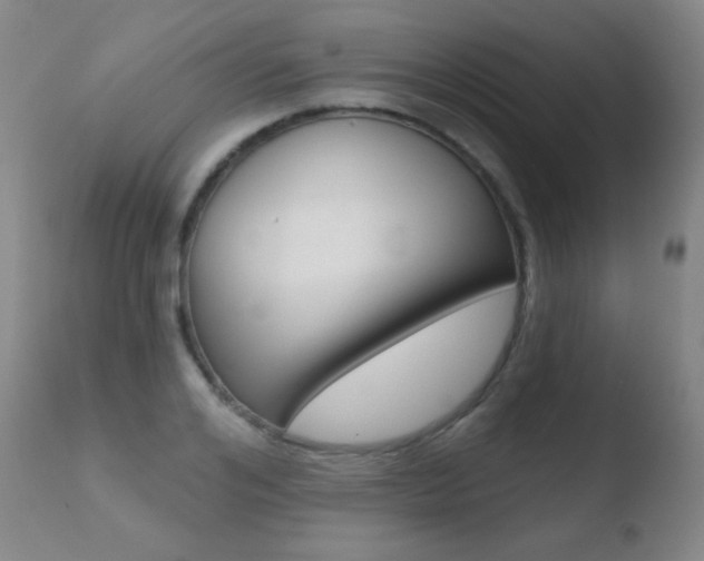 X0000110720984200906121242