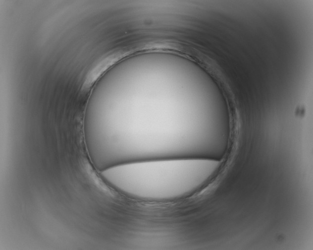 X0000110720985200906121242