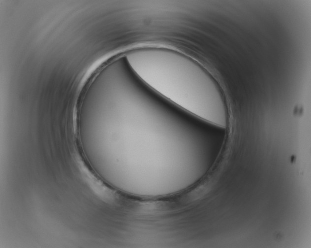 X0000110720988200906121242