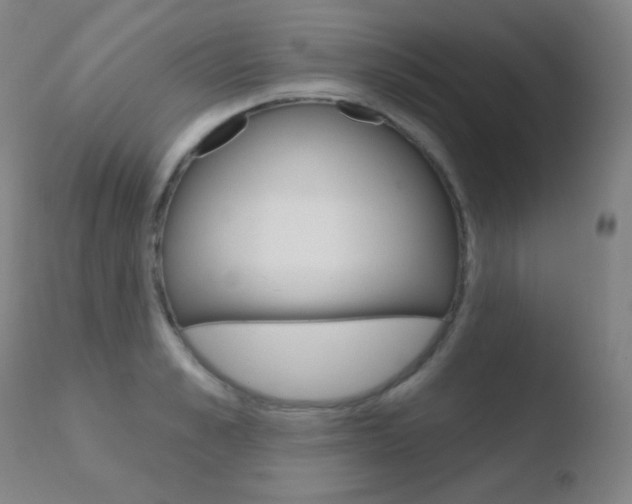 X0000110720989200906121242