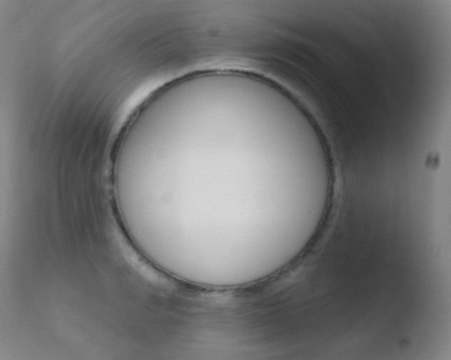 X0000110720990200906121242