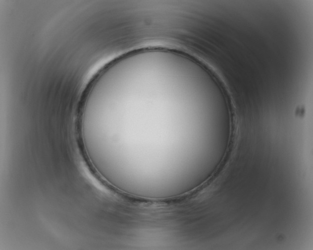 X0000110720991200906121242