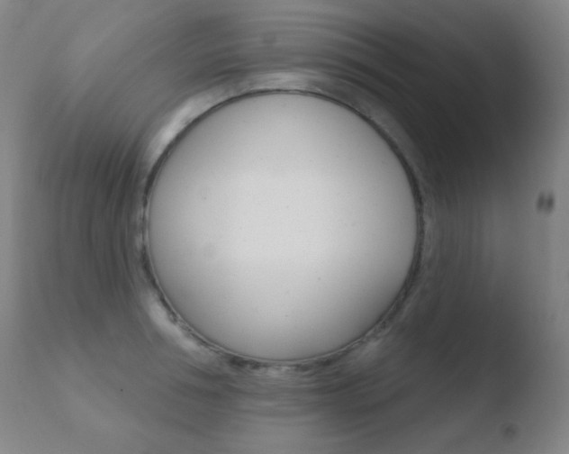 X0000110720994200906121242
