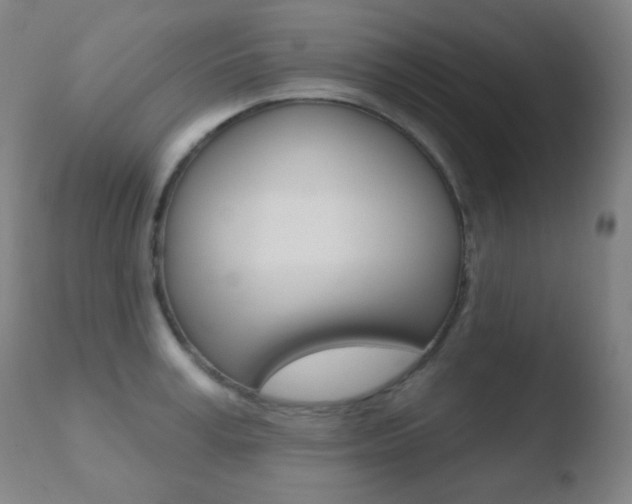 X0000110720995200906121242