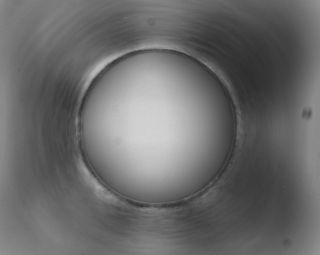 X0000110720996200906121242