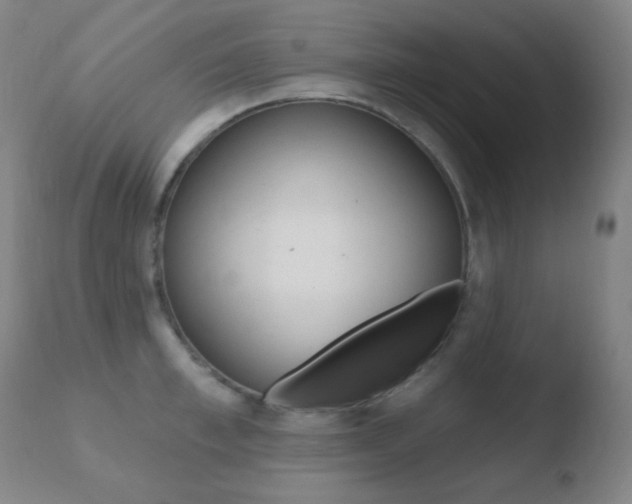 X0000110720997200906121242
