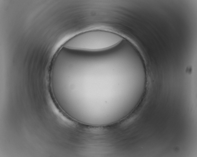 X0000110720999200906121242