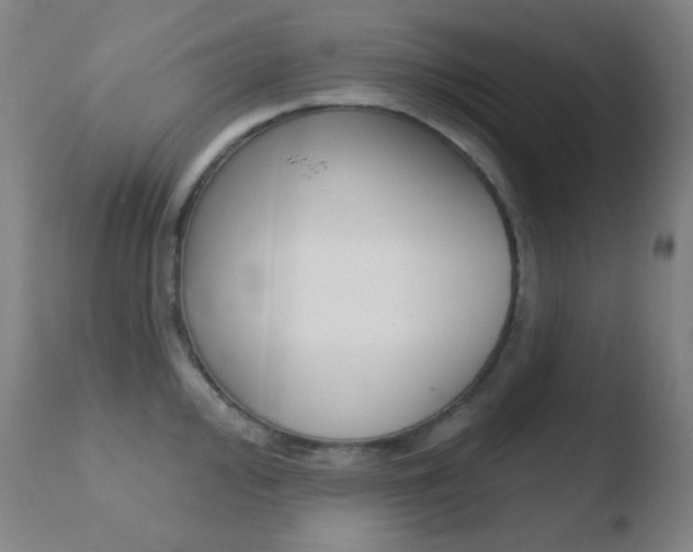 X0000110721000200906121242