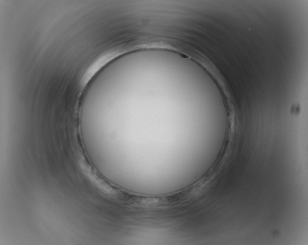 X0000110721002200906121242