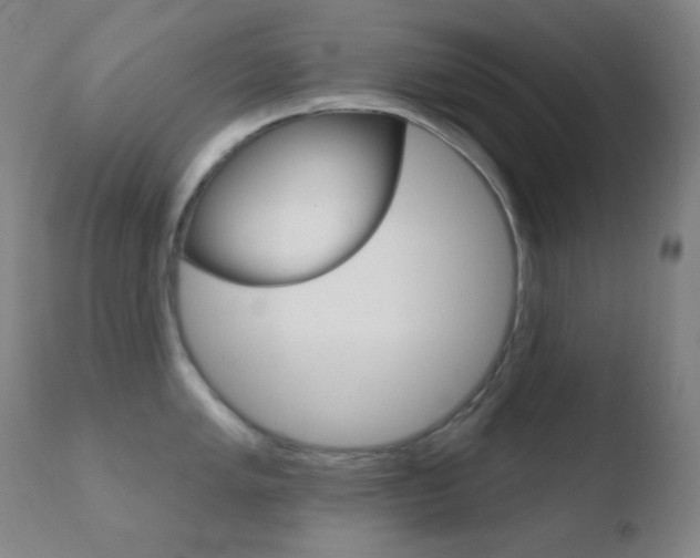 X0000110721005200906121242