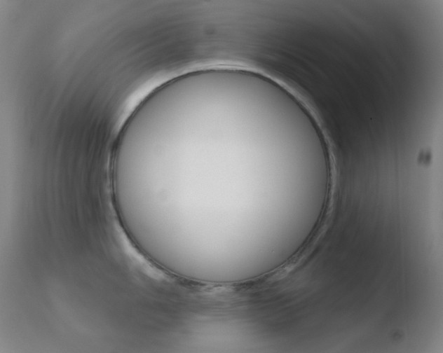 X0000110721006200906121242