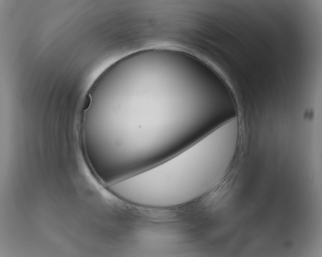 X0000110721007200906121242