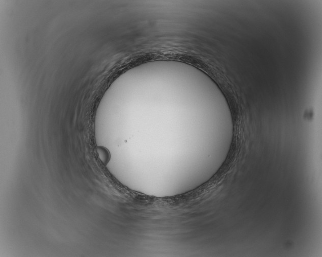 X0000110721009200906121241