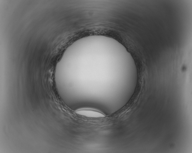 X0000110721010200906121241