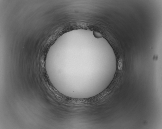 X0000110721011200906121241