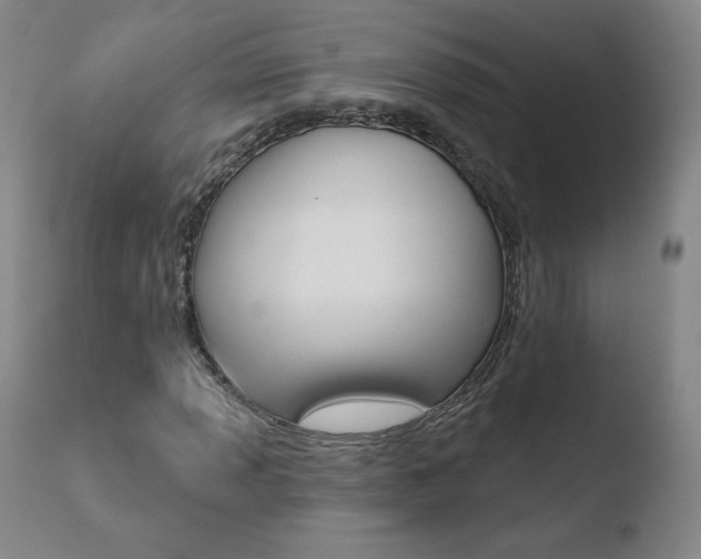 X0000110721013200906121241