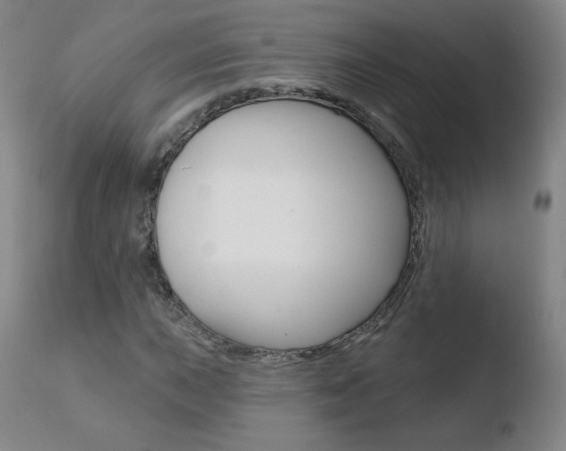 X0000110721015200906121241
