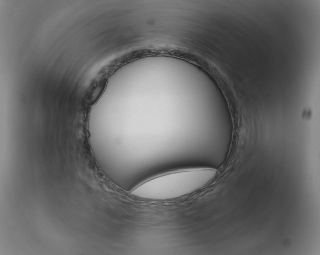 X0000110721016200906121241