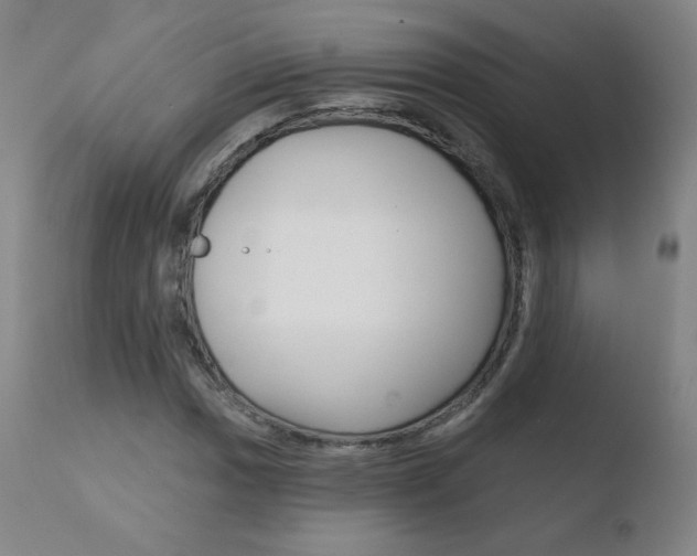 X0000110721017200906121241