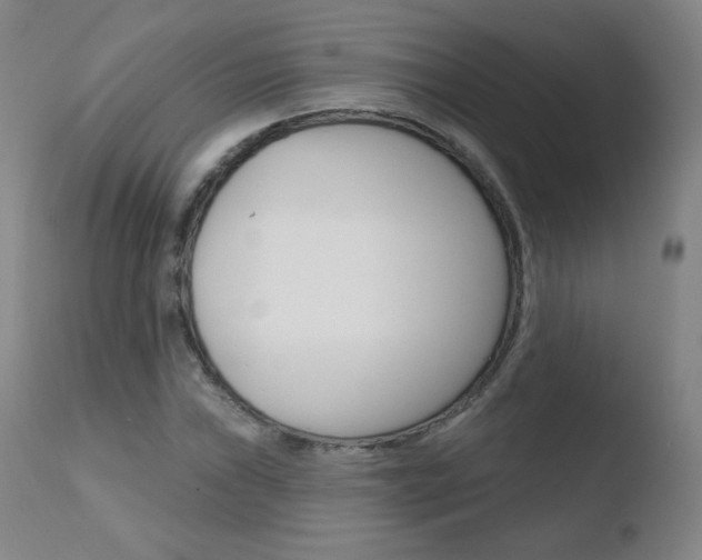 X0000110721019200906121241