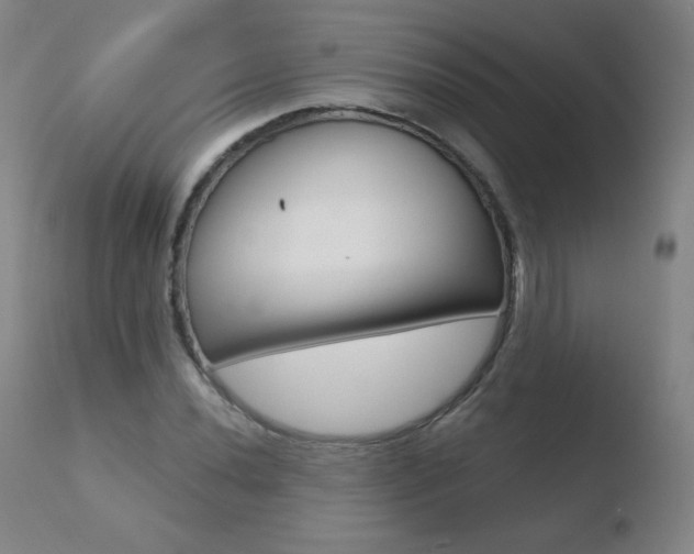 X0000110721020200906121241