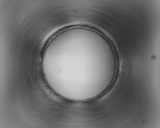 X0000110721021200906121241