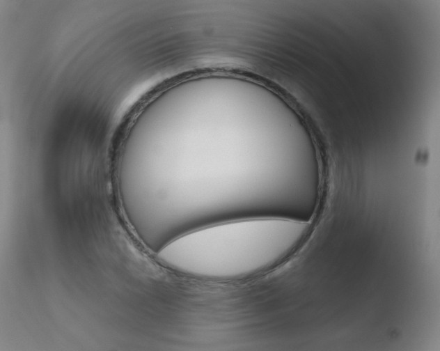 X0000110721022200906121241