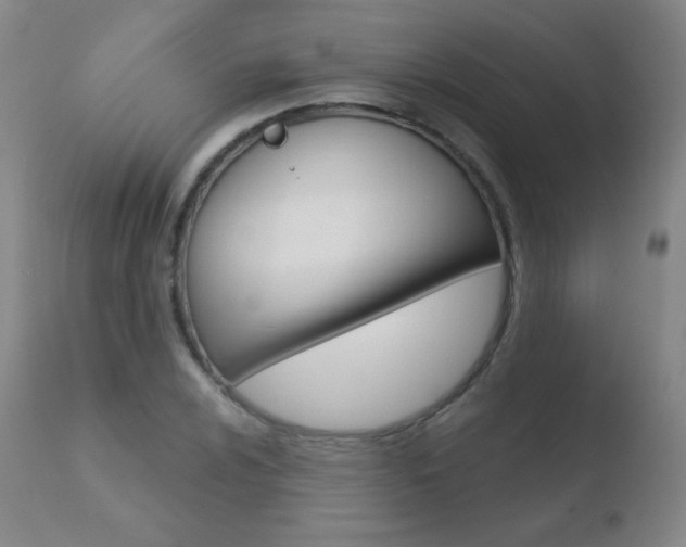 X0000110721024200906121241