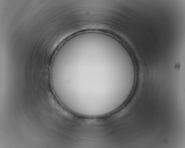 X0000110721025200906121241
