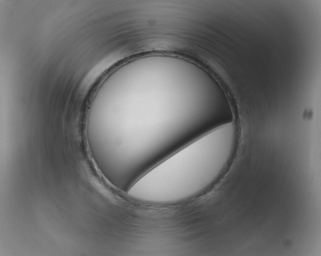 X0000110721026200906121241